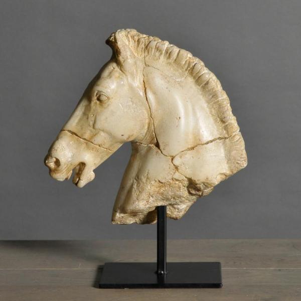 Testa di cavallo di Monti